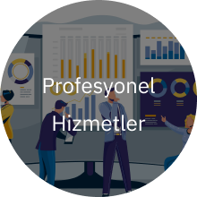 Profesyonel Hizmetler